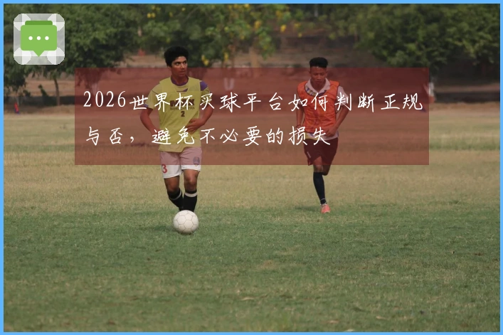 2026世界杯买球平台如何判断正规与否，避免不必要的损失